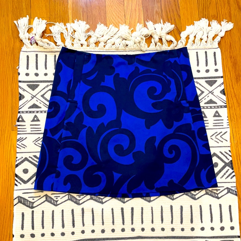 J.Crew Skirt